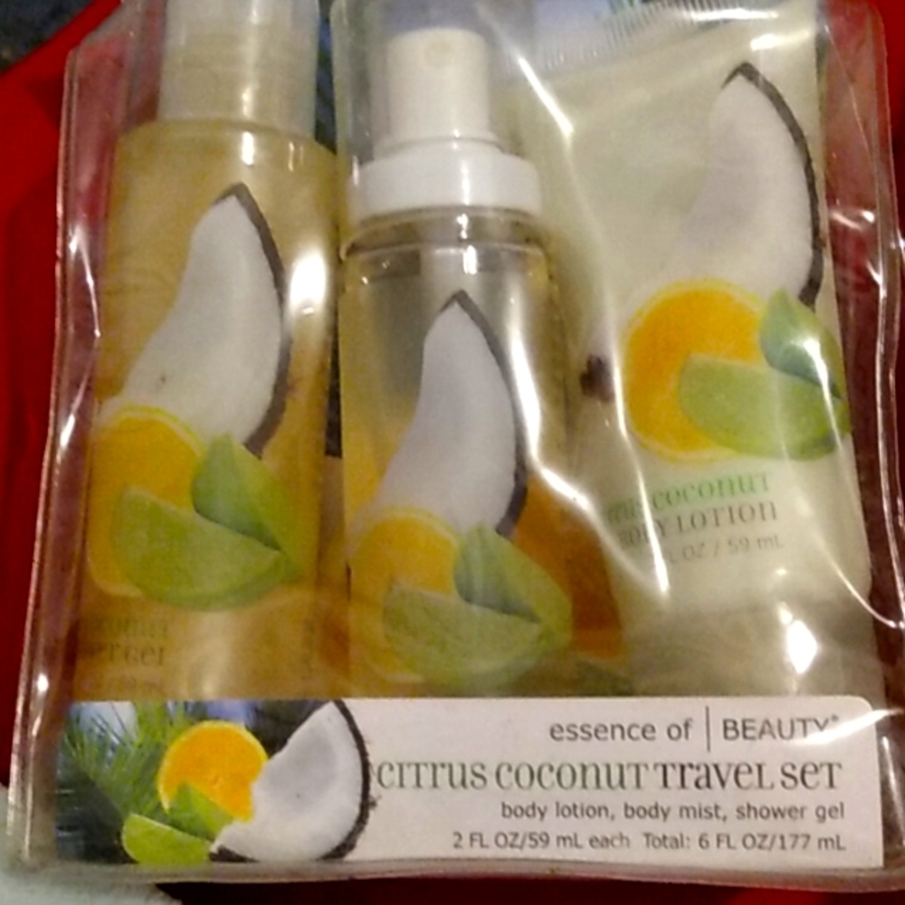 Citrus coconut travel set
